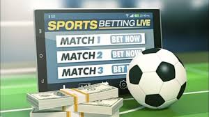 Nigus Bet Your Ultimate Online Betting Experience